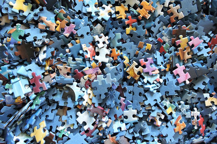 Türkiye C vitamini, puzzle ve kitaba yöneldi