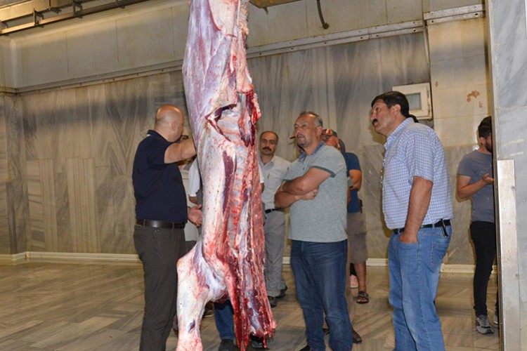 Acemiler ustalaştı