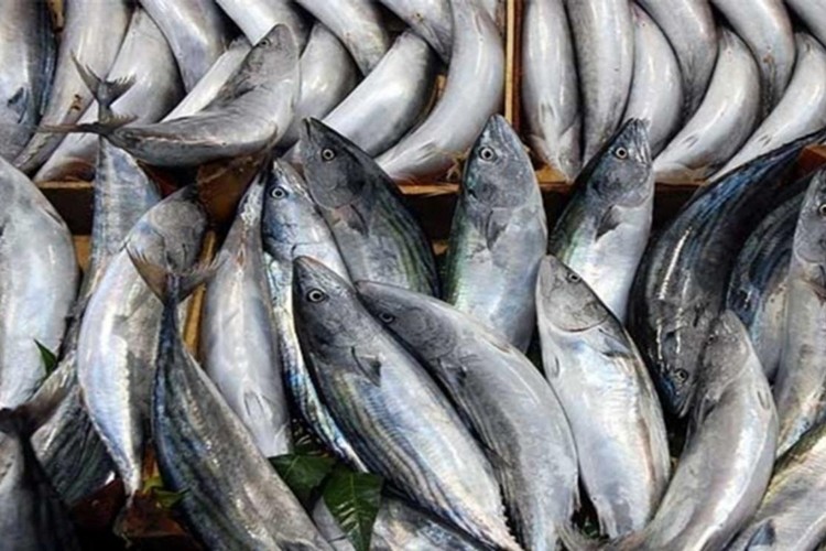 Hedef Polonya pazarı