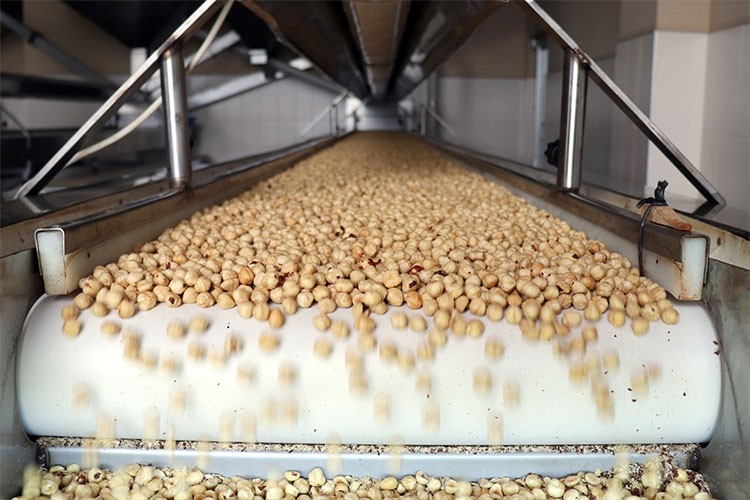 Fındıkta bu sezon 2,5 milyar dolar ihracat geliri hedefleniyor