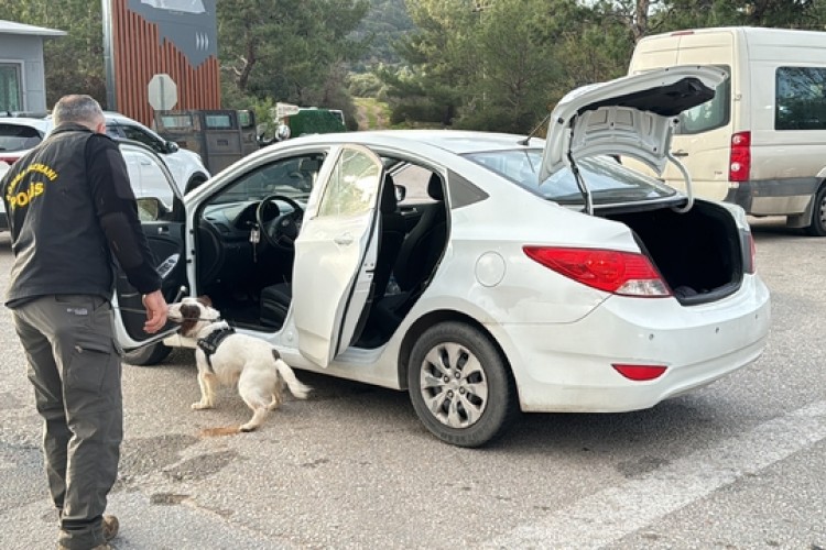Bodrum'da kolluk kuvvetlerince yeni yıl öncesi tedbirler artırıldı