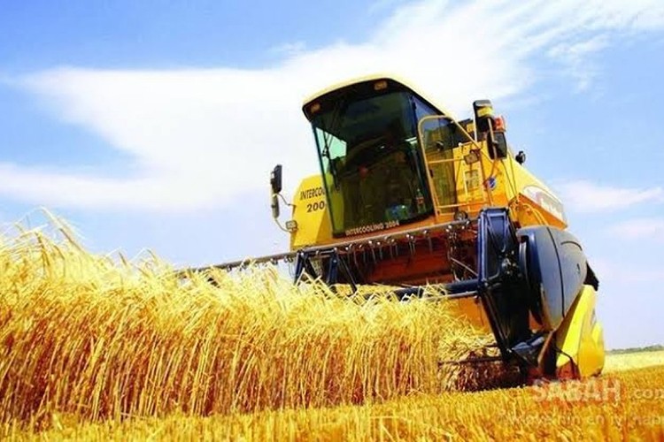 Tarım üretimi aylık yüzde 3,06, arttı