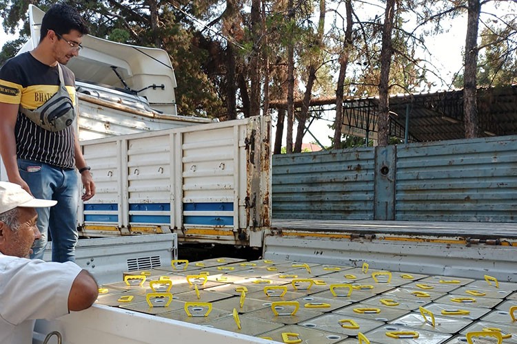 Bal Toplama Faaliyetleri Başladı