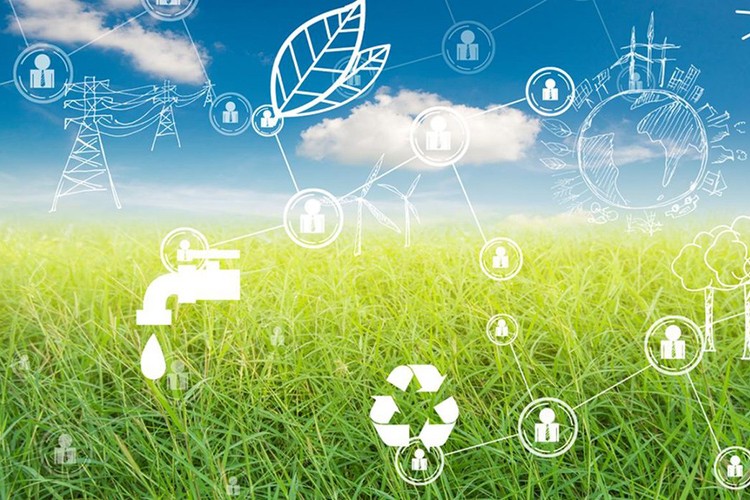 Etki hızlandırıcı programı