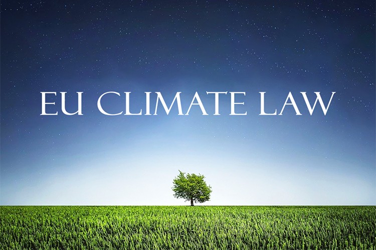 AB iklim yasasını onayladı