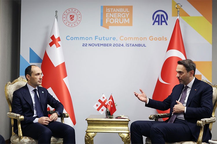 Bakan Bayraktar, Gürcistan Başbakan Yardımcısı Davitashvili ile görüştü