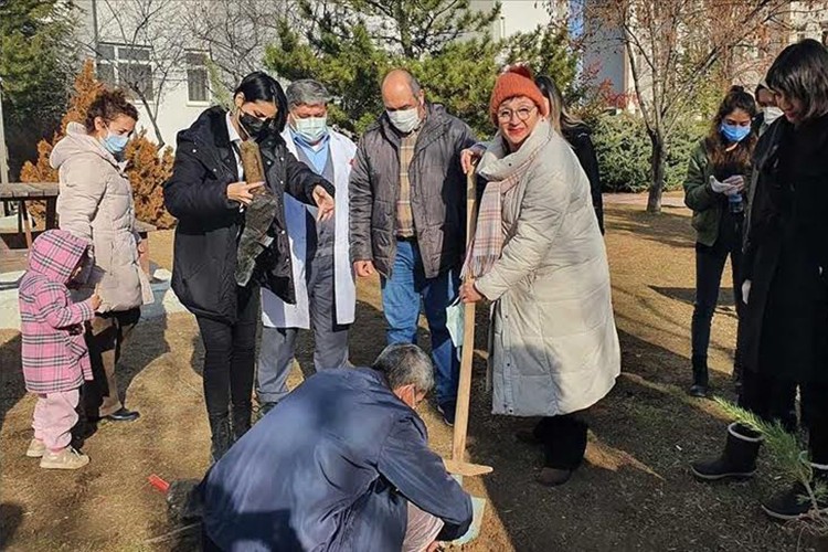 Hacettepeliler ağaç dikti