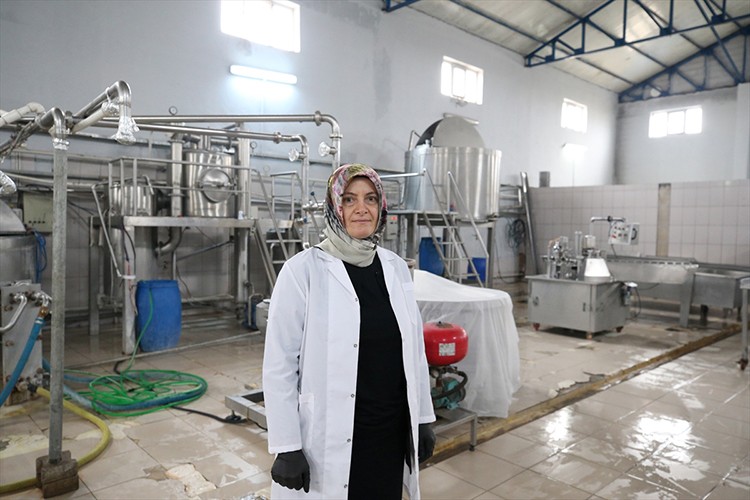 Muşlu kadın girişimci günlük 10 ton süt işliyor