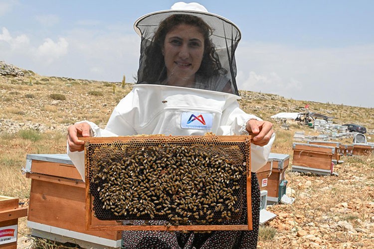 Tarım destekleriyle üretici hayalleri gerçek oluyor