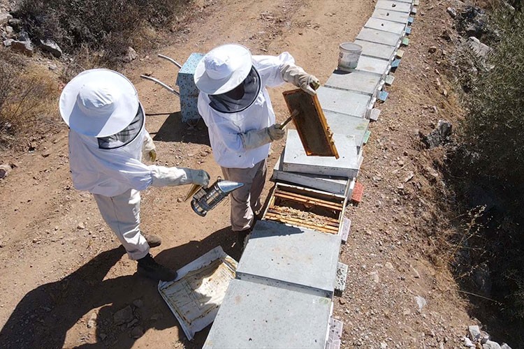 Baba oğul ata mesleği arıcılığı sürdürüyor