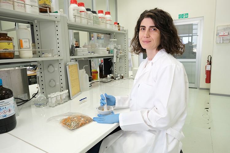 Çiğdem çiçeğinin cilt hastalıklarına iyi gelebilir