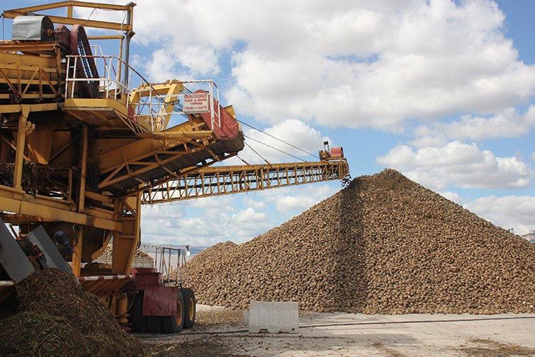 Amasya Şeker Fabrikası'nda 70. pancar alım kampanyası başladı