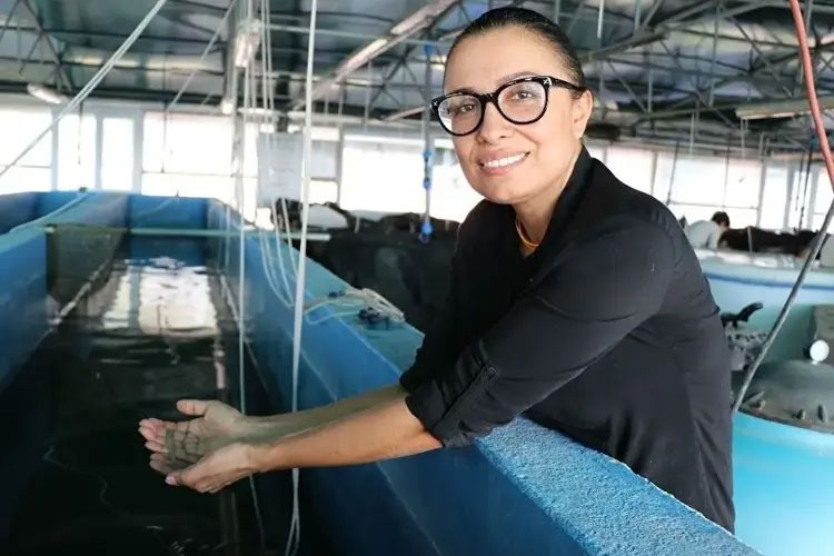 Türkiye'de ilk kez iç bölgede karides yetiştirildi