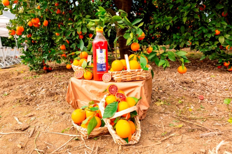 Mersin Kan Portakalı Üç Farklı Çeşidiyle Metro Mağazalarında- Taze, Kuru ya da Meyve Suyu!