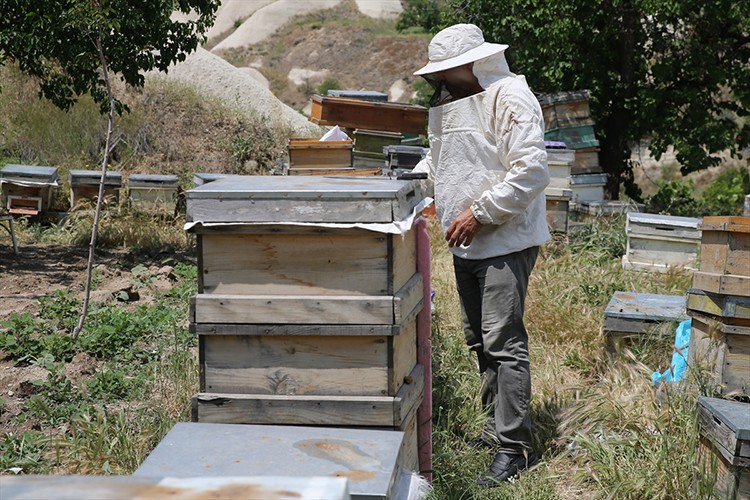 Bahçesine toplanan arılarla başladığı üretimi 30 yıldır sürdürüyor
