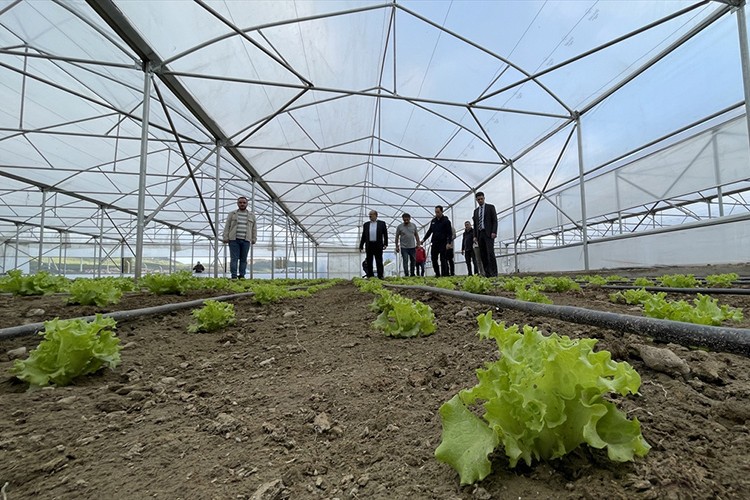 Serada kadın ve gençlerin umutları yeşeriyor