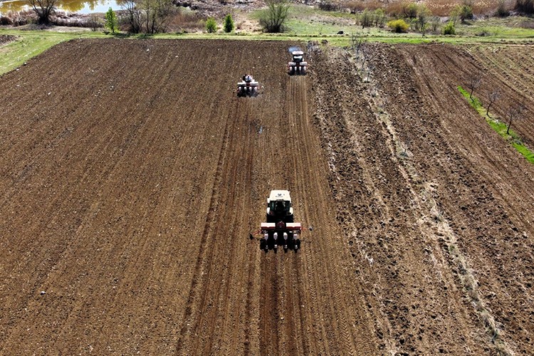 42 çiftçi "Birlikte Üretim Modeli Projesi" ile tarım yapıyor
