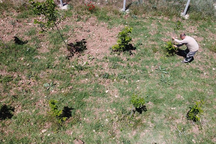 Koza yetiştiriciliği için örnek bahçe oluşturdu