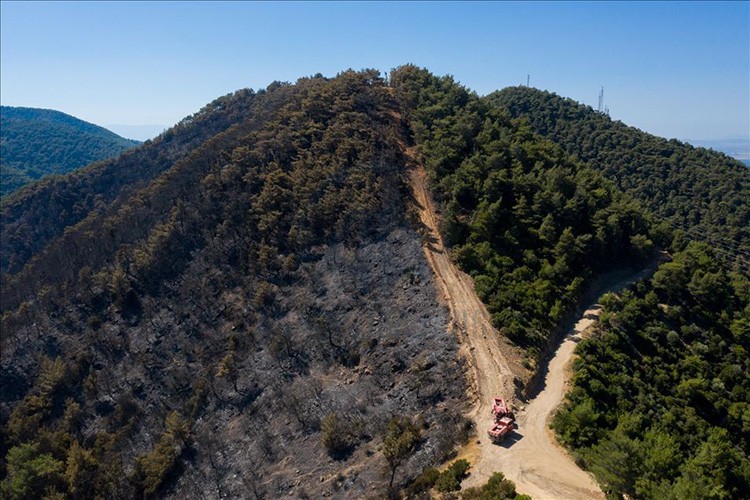 Bazı alanlar orman sınırları dışına çıkartıldı
