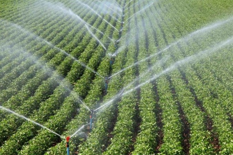 Sezon kapanış başvurusu hatırlatıldı