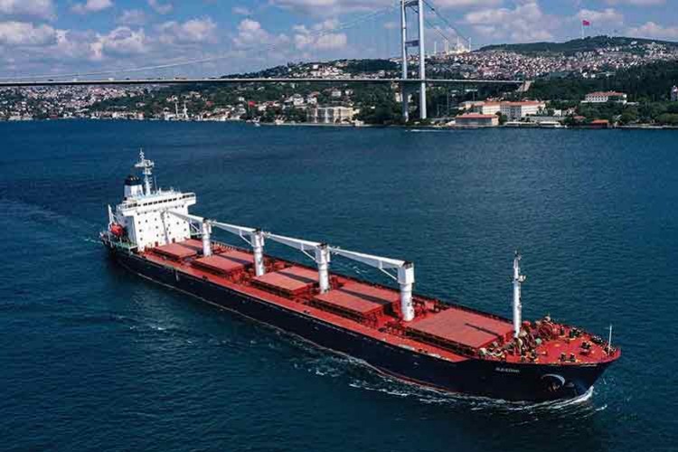 AB, Ukrayna'dan tahıl ithalatını sürdürmeye çalışıyor