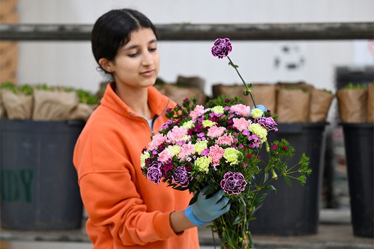Türkiye geçen yıl 80 ülkeye 141 milyon dolarlık çiçek ihrac etti