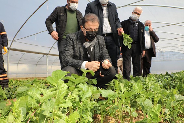 Çöp köyü, doğa köy olma yolunda