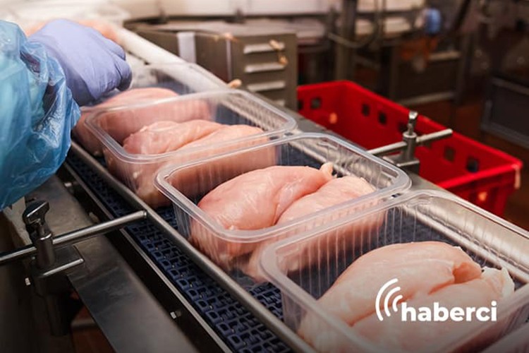 Tavuk eti üretimi ağustosta yıllık bazda yüzde 7,2 arttı