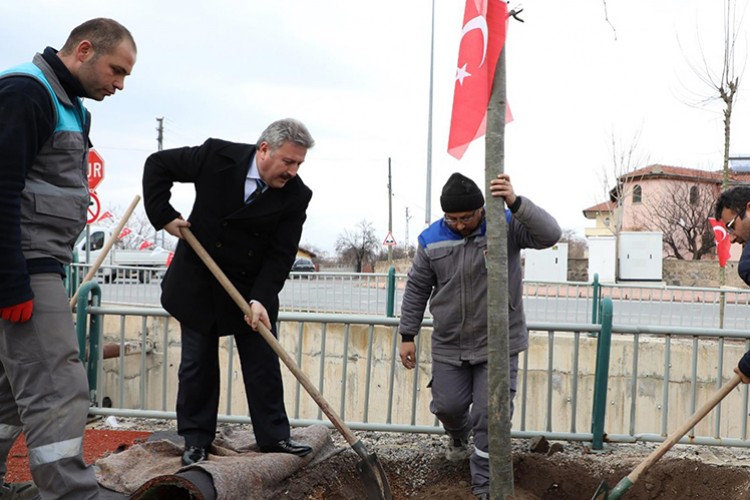 2020 ağaçlandırma yılı olacak