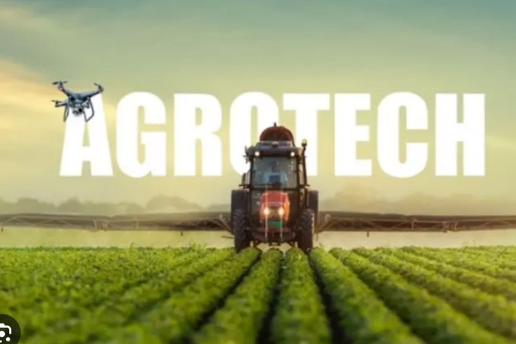 Agrotech Holding yapılanmasına gidiyor