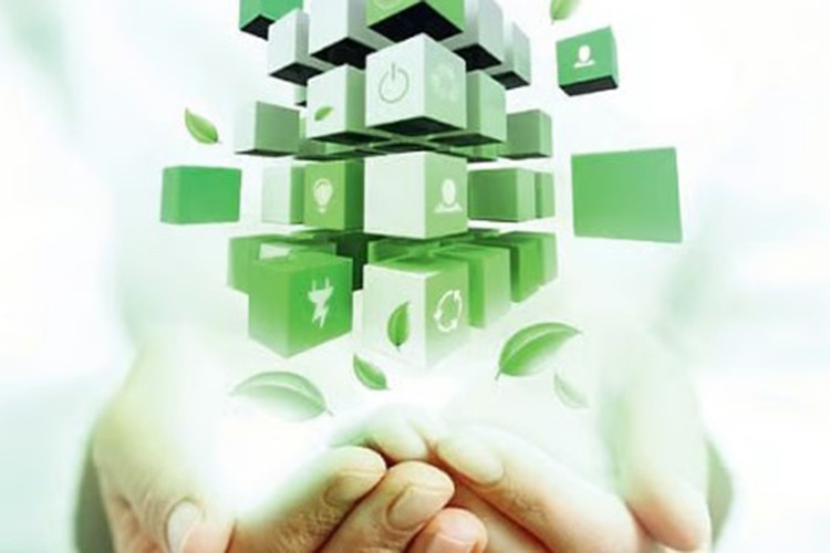 KOBİ'lerde yeşil dönüşüm