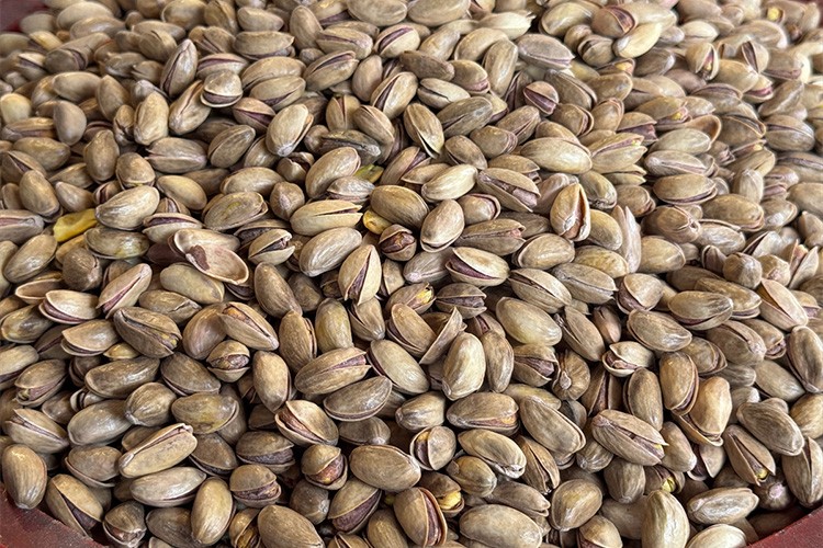 Türkiye'den 59,7 milyon dolarlık fıstık ihraç edildi