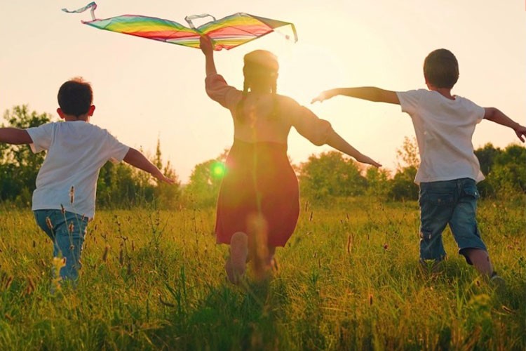 HDI Sigorta 3 bin fidanı doğaya kazandırdı