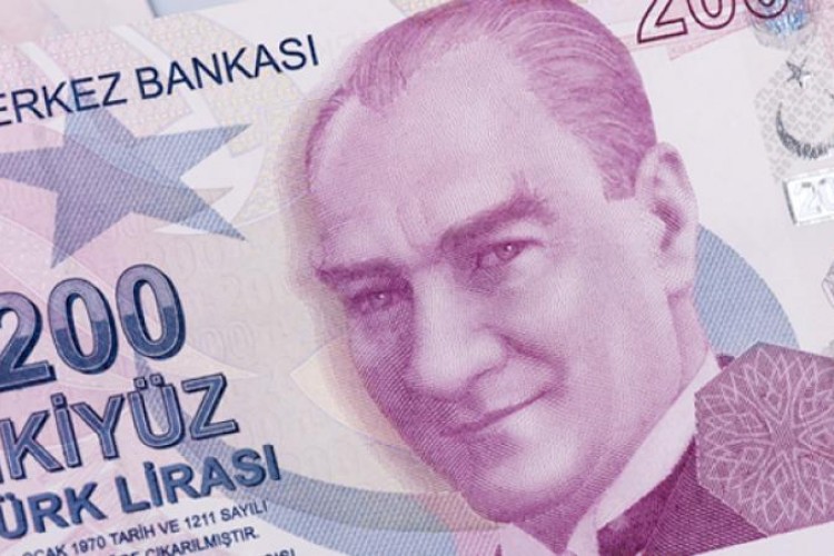 200 TL ve 50 TL'lik yeni banknotlar tedavüle verildi