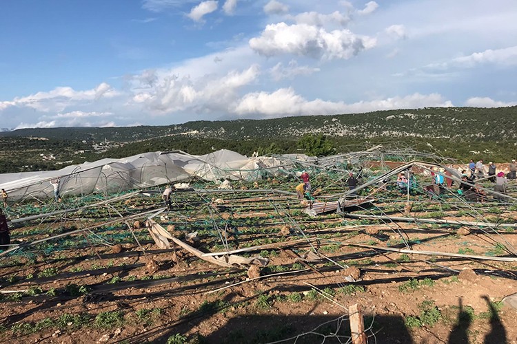 Mersin'de hortum, seralarda hasara neden oldu