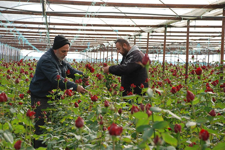 İzmir Menderes'te yoğun 14 Şubat mesaisi