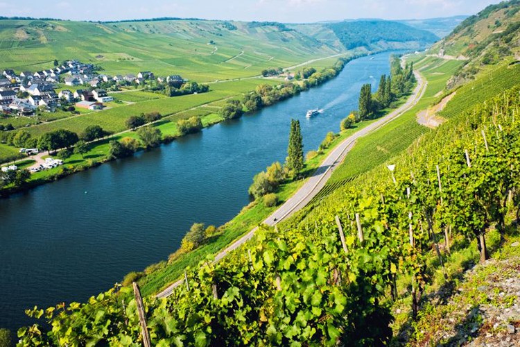 Almanya'da tarıma yıllık yaklaşık 6,2 milyar avro ayrılıyor