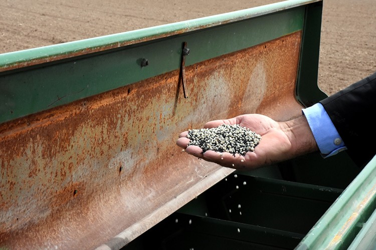 Bozkır çörekotu ile bereketleniyor