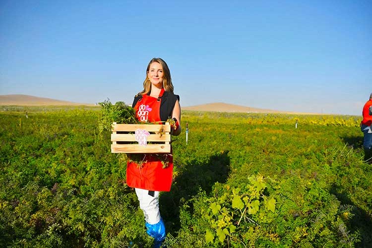 Hedef Şalgam ile Türkiye'de Hanelerin Tamamına Ulaşmak