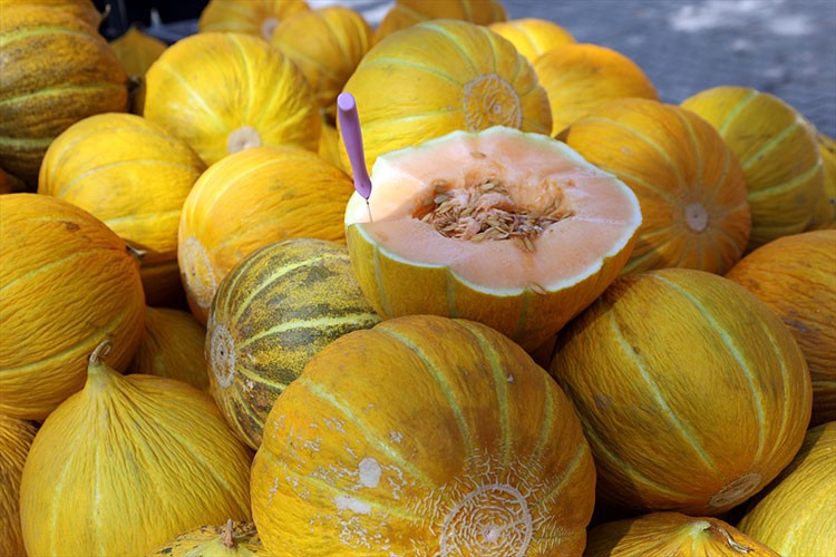 Muğla'da "Yayla Kavunu Yarışması" düzenlendi