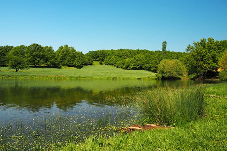 Mesire işletmeye verilecek