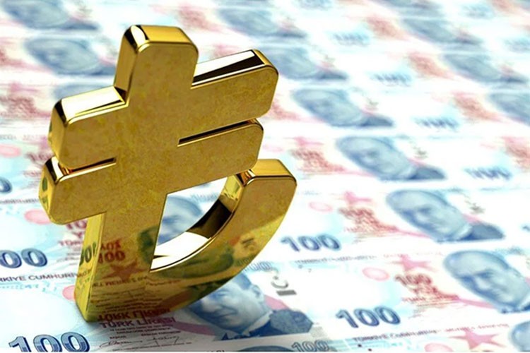 "Dijital Türk Lirası: Fayda ve Fırsatlar" analizi