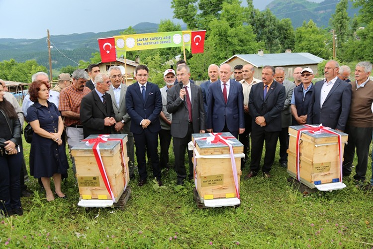 Kafkas arı ırkı tanıtıldı