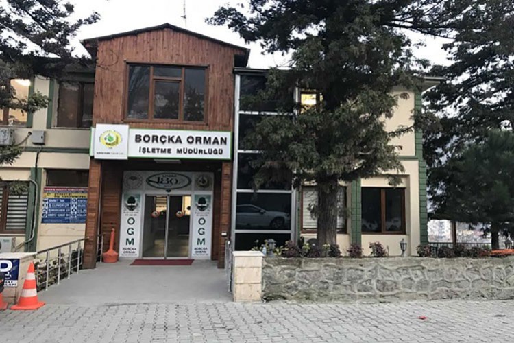 Orman yolu yaptırılacaktır