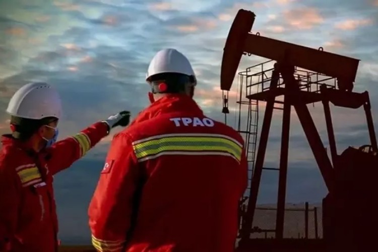 TPAO'nun Siirt'teki 3 sahası için kamulaştırma kararı