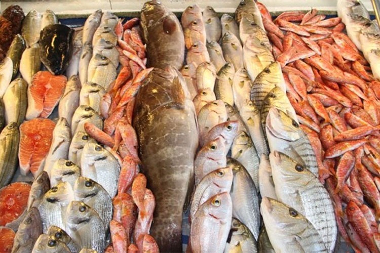 Su ürünleri sektörünün yılı 2 milyar dolar ihracatla kapatması bekleniyor