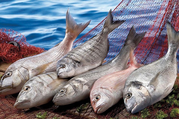 Trabzon'un su ürünleri ihracat geliri geçen yıl yüzde 21 arttı