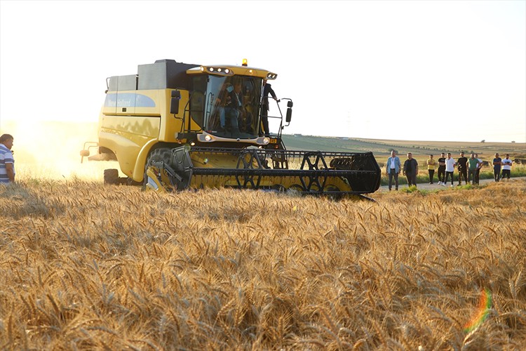 Tekirdağ'da "7. Hasat Bayramı" kutlandı