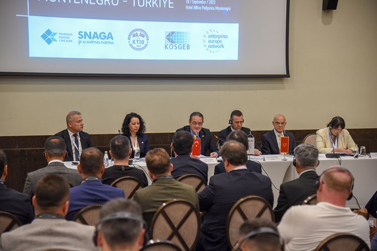 Türkiye-Karadağ ekonomik ilişkileri "sağlam zemine" oturtulacak