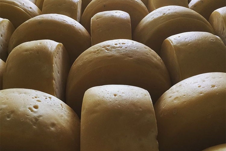 "Malkara eski kaşarı" AB coğrafi tescili için başvuracak